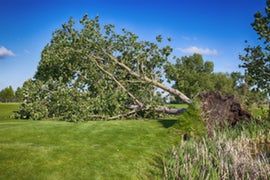 Commercial Windstorm